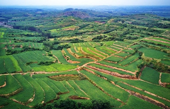 Aerial view of terraced fields in north China's Hebei