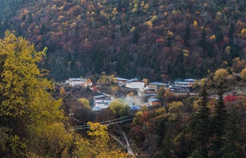 Scenery in Yubeng Village, SW China's Yunnan