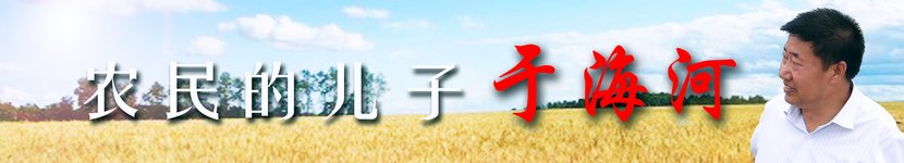 于海河banner