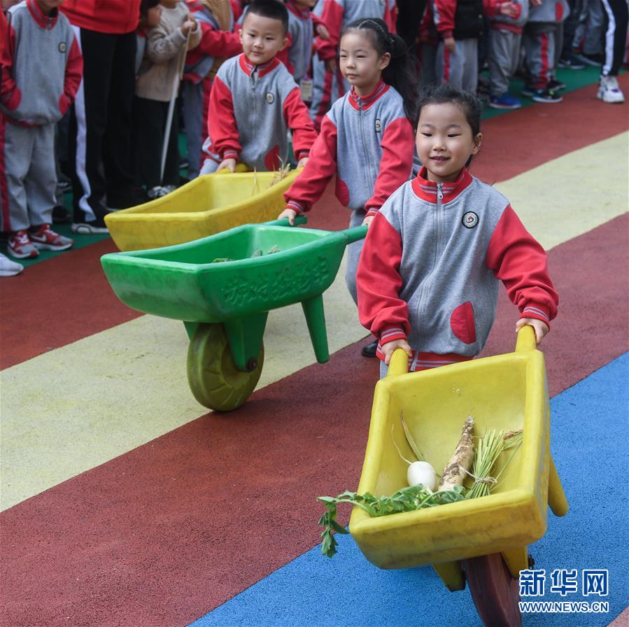 （教育）（2）校园趣味运动——“秋冬运粮忙”