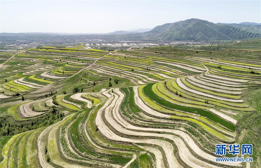 （新华全媒头条·壮丽70年·奋斗新时代·图文互动）（6）中国减贫的西海固报告