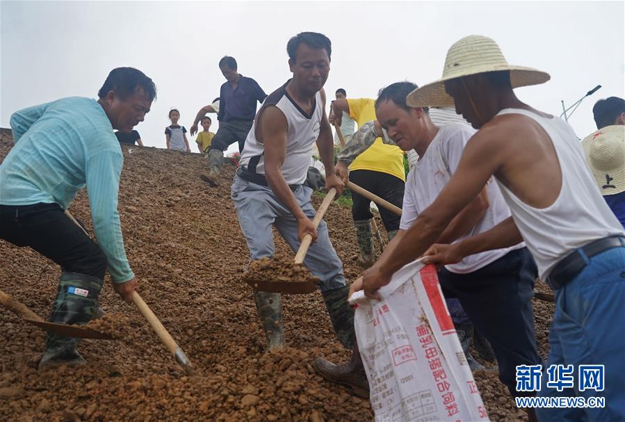 （在习近平新时代中国特色社会主义思想指引下——新时代新作为新篇章·习近平总书记关切事·图文互动）（6）洪峰浪尖，鲜红的党旗高高飘扬——记防汛抗洪一线的共产党员