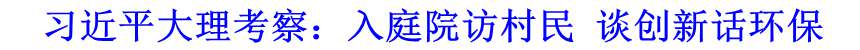 习近平大理考察：入庭院访村民 谈创新话环保