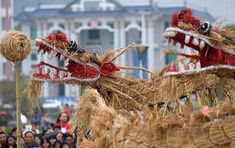 舞草龙 庆丰年