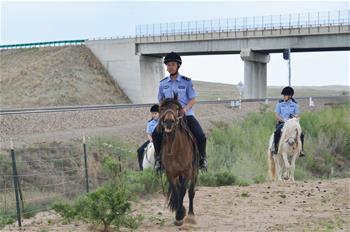 草原骑警队：铁路沿线守卫者