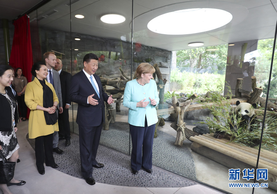 7月5日，国家主席习近平同德国总理默克尔共同出席柏林动物园大熊猫馆开馆仪式。这是习近平和夫人彭丽媛同默克尔在大熊猫馆。 新华社记者马占成 摄 